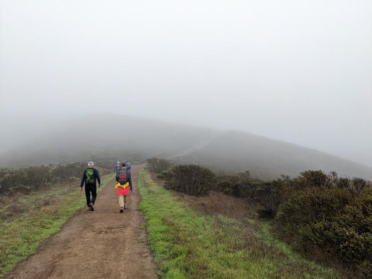 Muir Beach Coast Trail, Marin County CA